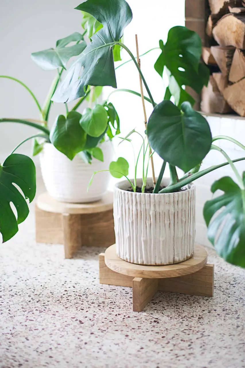 Two handmade mid-century modern wooden plant stands built from scrap wood, elevating white ceramic pots with Monstera plants on a terrazzo floor.